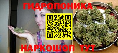 скорость Гусев