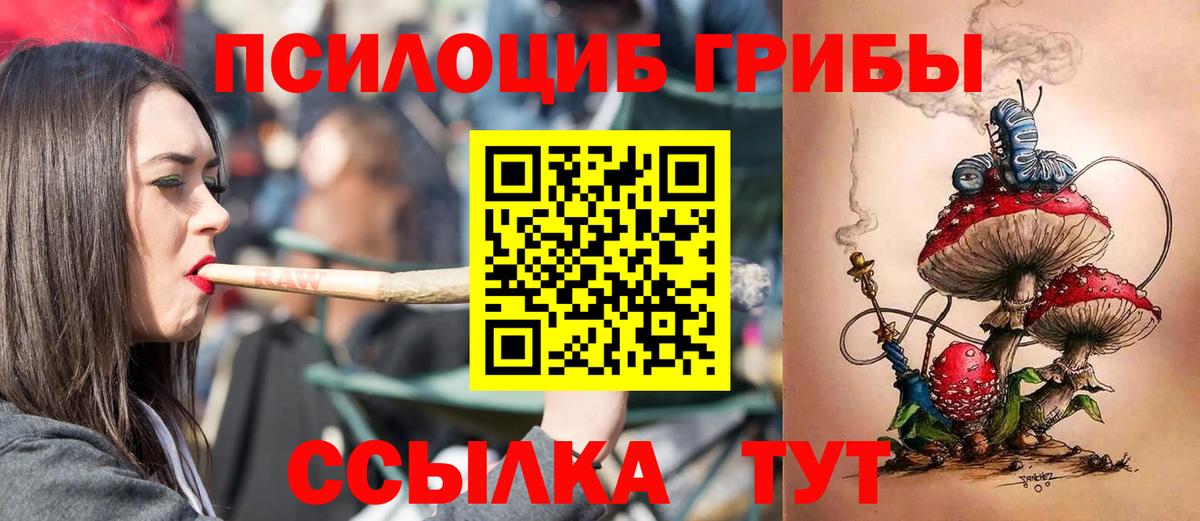 Псилоцибиновые грибы Psilocybe Кузнецк