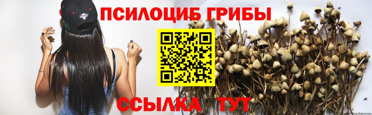 Кузнецк  Псилоцибиновые грибы Psilocybe  Вход с VPN  Галлюциногенные грибы мухоморы 